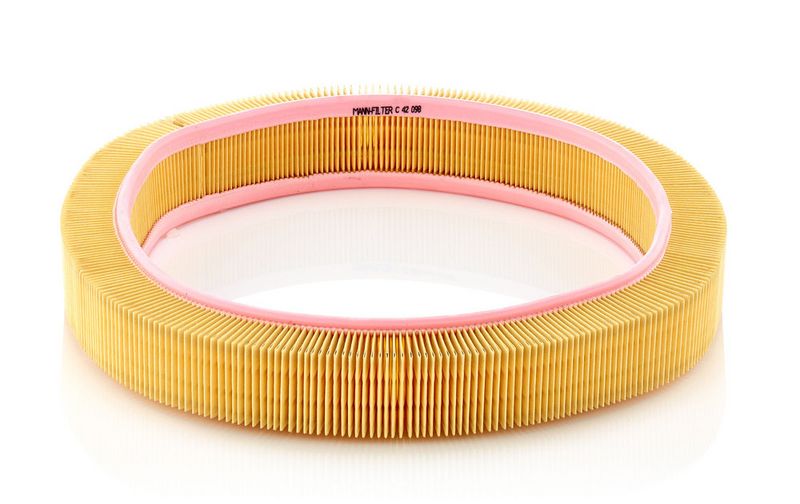 MANN-FILTER Air Filter C 42 098