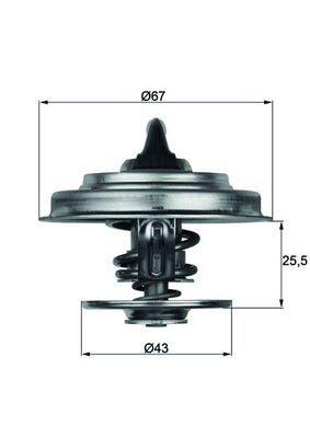 MAHLE Thermostat, coolant TX 18 87D