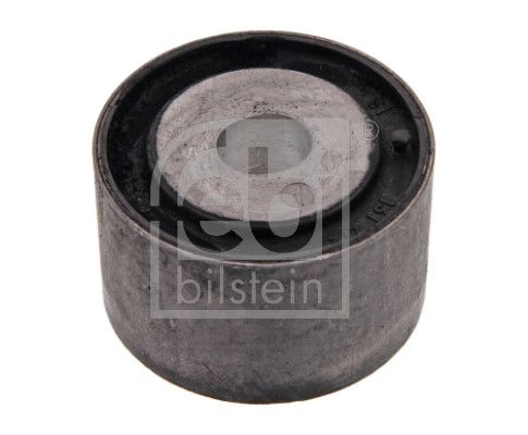 FEBI BILSTEIN Mounting, differential 10843
