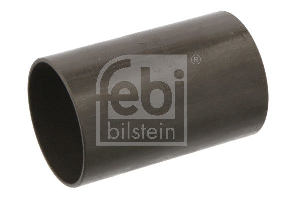 FEBI BILSTEIN Bushing, leaf spring 02458