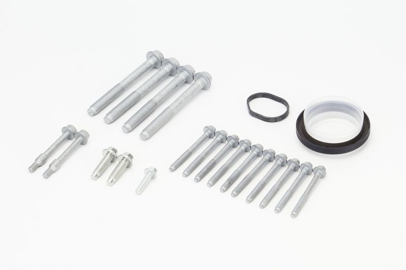 CONTINENTAL CTAM Screw Kit, timing case MS54