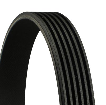 CONTINENTAL CTAM V-ribbed Belt 6PK2080