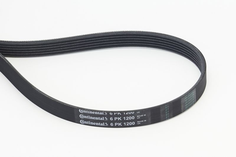 CONTINENTAL CTAM V-Ribbed Belt 6PK1200