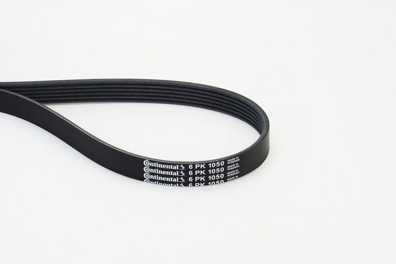 CONTINENTAL CTAM V-Ribbed Belt 6PK1050