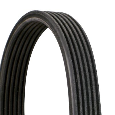 CONTINENTAL CTAM V-Ribbed Belt 6DPK1697