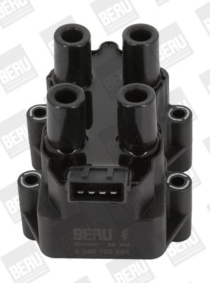 BorgWarner (BERU) Ignition Coil ZS344