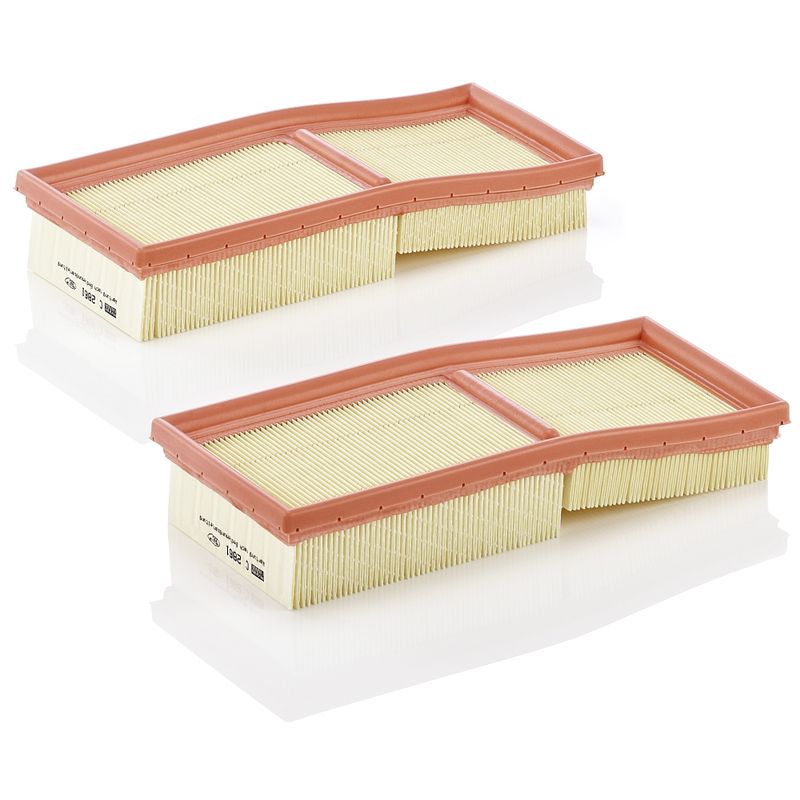 MANN-FILTER Air Filter C 2861-2
