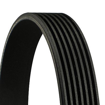 CONTINENTAL CTAM V-Ribbed Belt 7PK2418