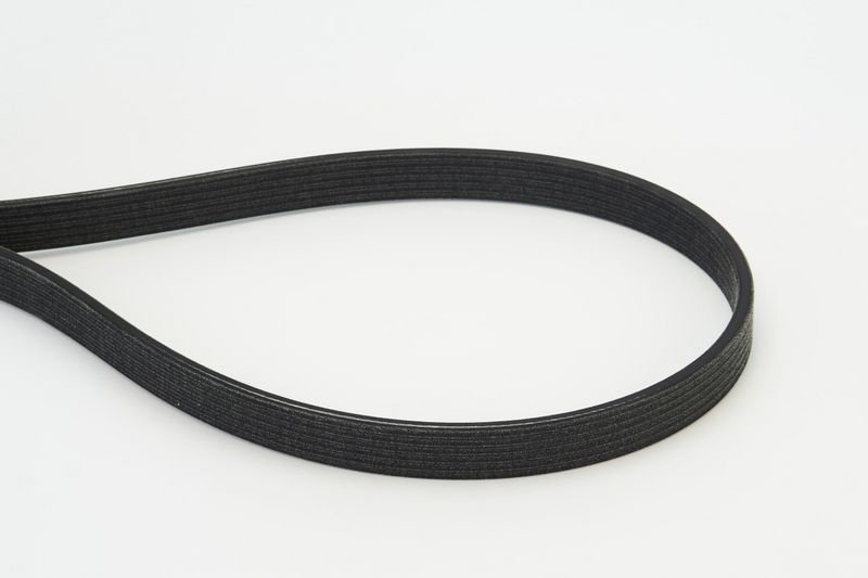 CONTINENTAL CTAM V-Ribbed Belt 6DPK1817