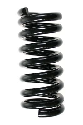 SPIDAN Suspension Spring 55142