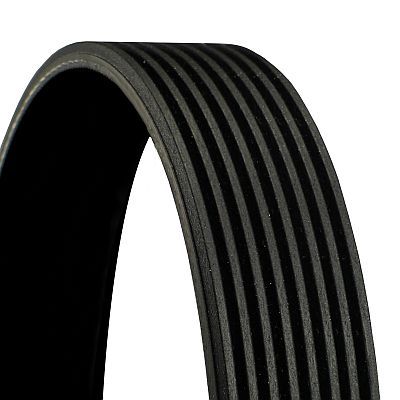 CONTINENTAL CTAM V-Ribbed Belt 8PK2092