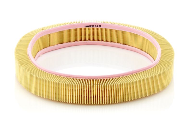 MANN-FILTER Air Filter C 42 098