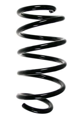 SPIDAN Suspension Spring 85017